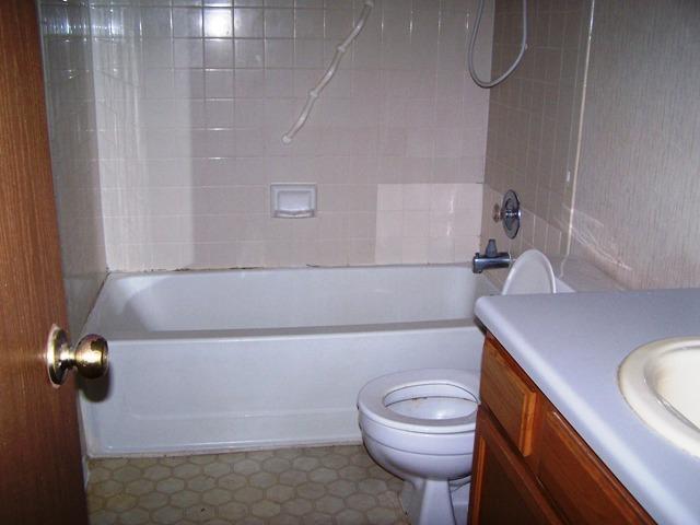 817 Lexington Rd, Elgin, TX 78621 - full bathroom featuring washtub / shower combination, toilet, and vanity