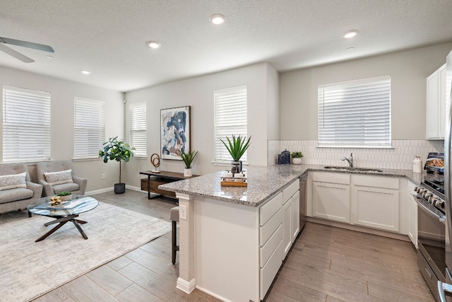 kitchen featuring light wood finished floors, light stone countertops, a sink, stainless steel appliances, and white cabinets