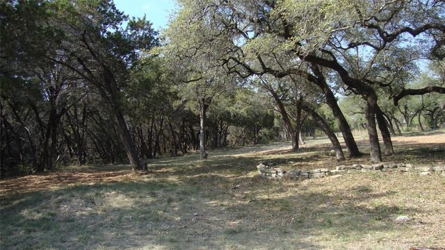 6714 Bar K Clubhouse Ct, Lago Vista, TX 78645 - photo 1