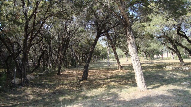 6714 Bar K Clubhouse Ct, Lago Vista, TX 78645 - photo 2