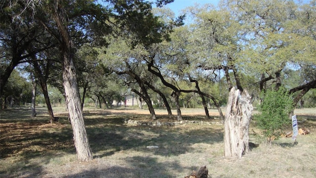 6714 Bar K Clubhouse Ct, Lago Vista, TX 78645 - photo 3