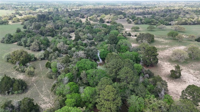 2792 Fm 535, Rosanky, TX 78953 - photo 34