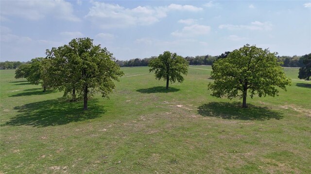 2792 Fm 535, Rosanky, TX 78953 - photo 30