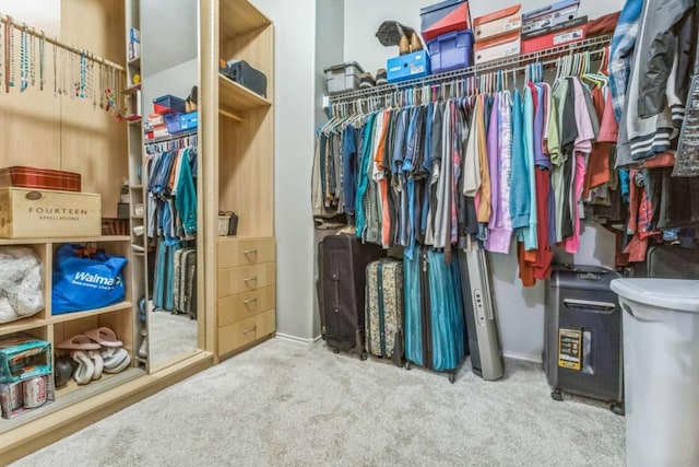 1515 Kothman Dr, Hutto, TX 78634 - spacious closet featuring carpet floors
