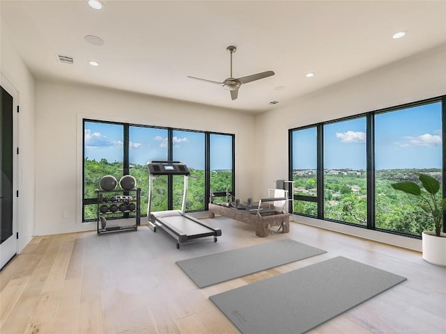 4800 Mondonedo Cv, Austin, TX 78738 - exercise area with healthy amount of natural light, recessed lighting, ceiling fan, and light wood-style flooring