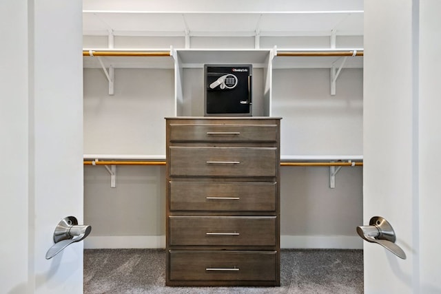 5200 Patagonia Pass, Austin, TX 78738 - spacious closet with carpet flooring