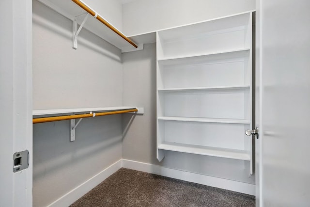 5200 Patagonia Pass, Austin, TX 78738 - spacious closet with dark carpet