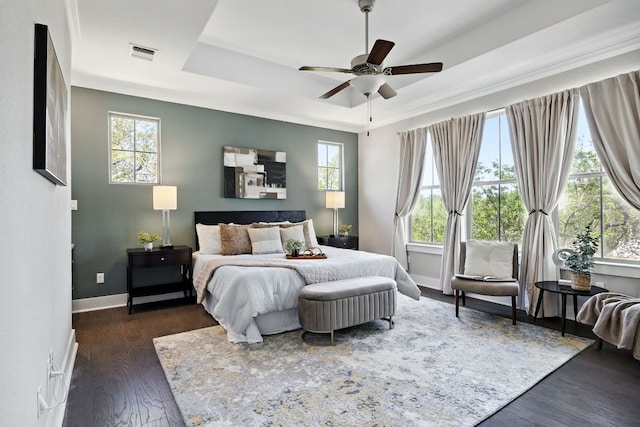 5200 Patagonia Pass, Austin, TX 78738 - bedroom featuring a tray ceiling, multiple windows, and dark wood-type flooring