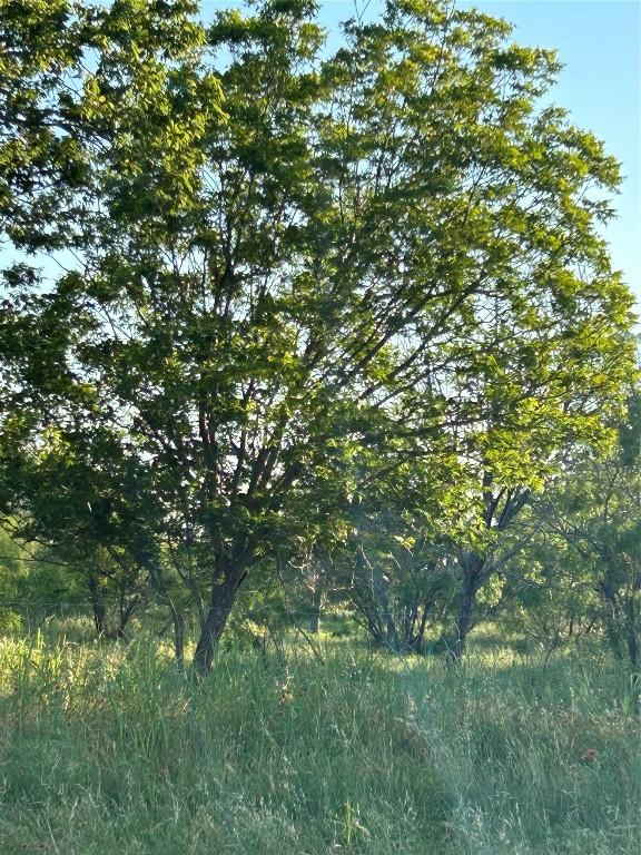 20441 Fm 2268, Holland, TX 76534