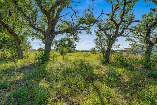 16000 Cool Breeze Cv, Austin, TX 78738