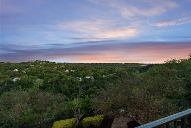 2717 Bartons Bluff Ln, Austin, TX 78746 - photo 33
