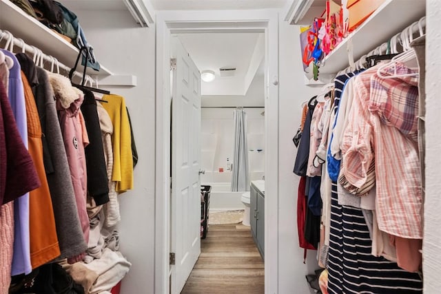 spacious closet with wood finished floors