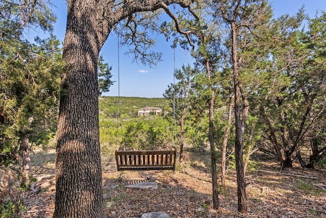 7817 Aria Loop, Austin, TX 78736 - photo 36
