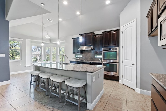 7817 Aria Loop, Austin, TX 78736 - kitchen with a sink, stainless steel double oven, lofted ceiling, under cabinet range hood, and light stone counters