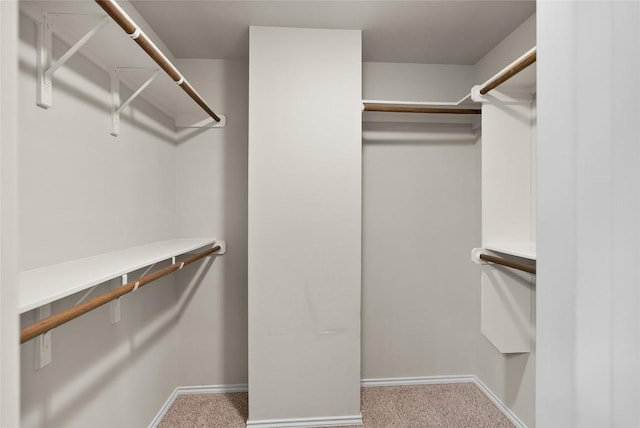 437 Venture Blvd S, Point Venture, TX 78645 - walk in closet featuring carpet floors
