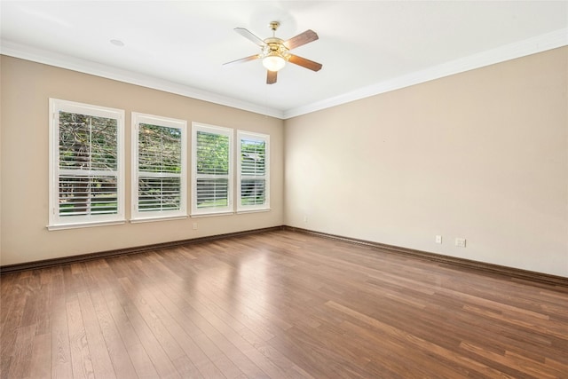316 Trail Of The Flowers, Georgetown, TX 78633 - photo 19