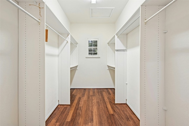 316 Trail Of The Flowers, Georgetown, TX 78633 - photo 25