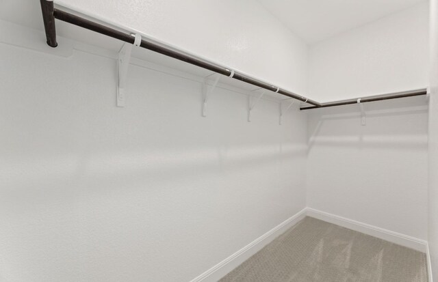 329 Singing Dove Way, Liberty Hill, TX 78642 - spacious closet featuring light carpet