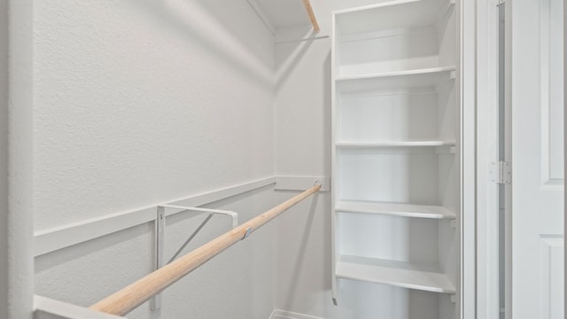 2634 Caleb Asher Loop, Round Rock, TX 78665 - view of spacious closet