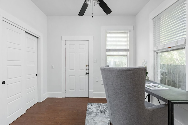 207 W 39th St, Austin, TX 78751 - home office featuring a ceiling fan, dark wood-type flooring, and plenty of natural light
