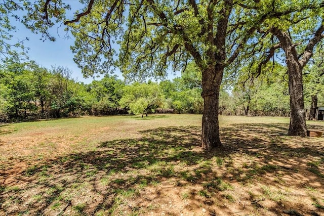 506 Shaw Ave, Fredericksburg, TX 78624 - photo 24
