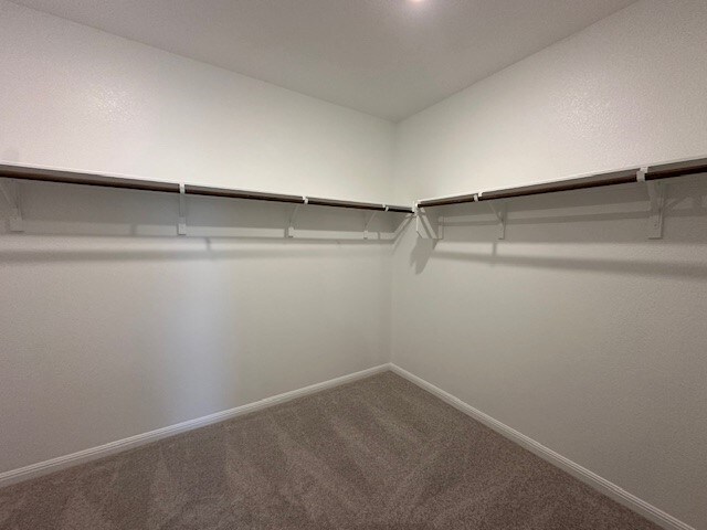 12402 Purple Prairie Ln, Buda, TX 78610 - photo 17
