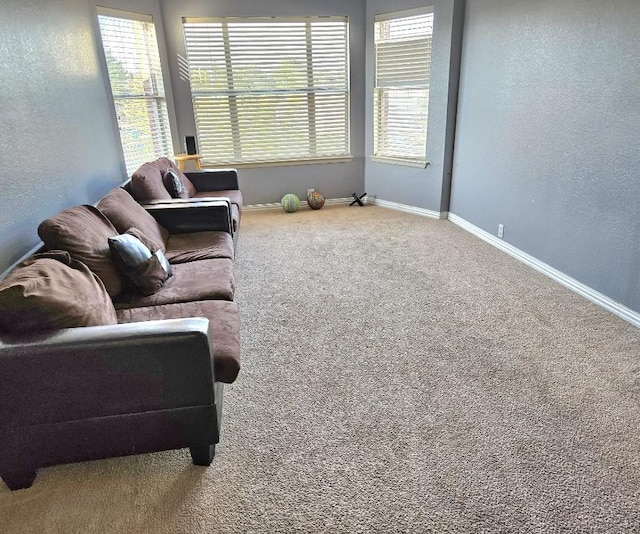 14400 Little Eagle Ct, Elgin, TX 78621 - living area featuring carpet flooring, a textured wall, and baseboards