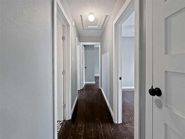 1026 Haynes St Unit 28, San Marcos, TX 78666 - hallway with a textured ceiling, wood-type flooring, and attic access