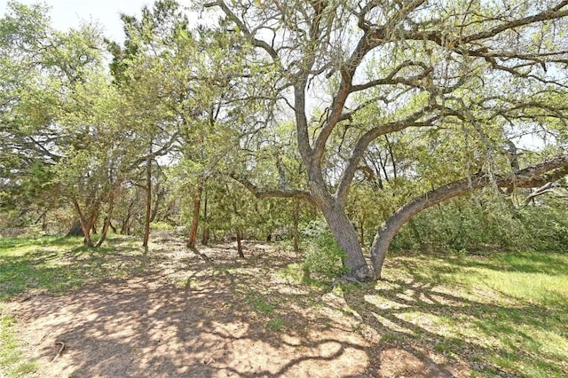 11446 Rustic Rock Dr, Austin, TX 78750 - photo 40