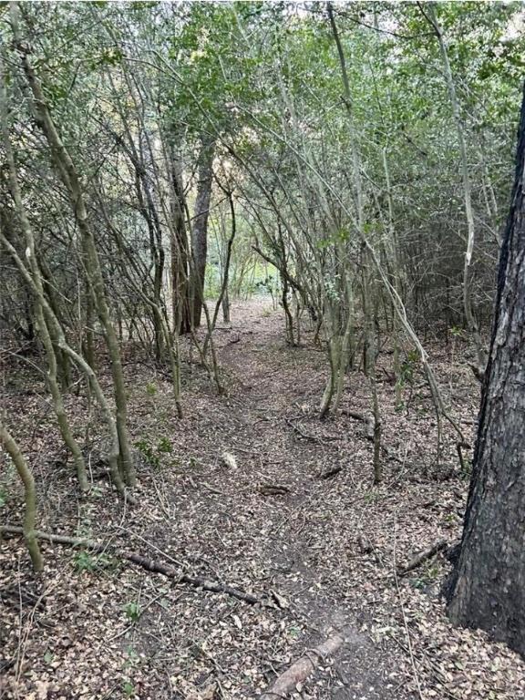 1073 Creekside Ln, Lexington, TX 78947