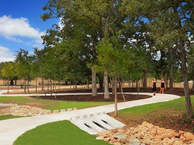 view of home's community