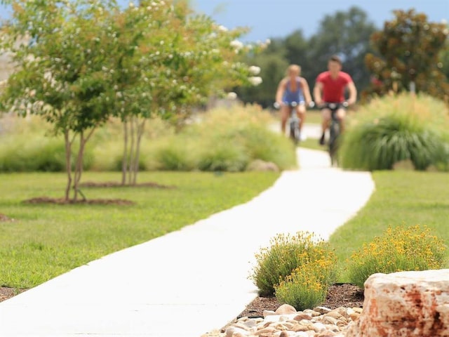 view of home's community with a yard