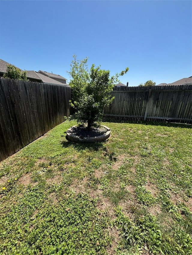 229 Split Rail Dr, San Marcos, TX 78666 - photo 35