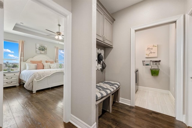bedroom featuring dark wood-style flooring, multiple windows, and a raised ceiling