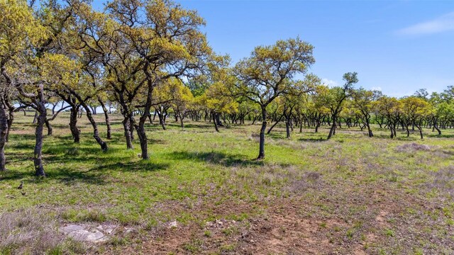 1422-23 Ranch Road 2766, Johnson City, TX 78636