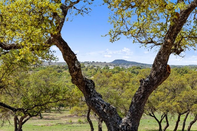 1422-23 Ranch Road 2766, Johnson City, TX 78636