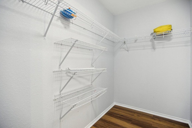 339 Liberty St, Hutto, TX 78634 - walk in closet featuring wood finished floors