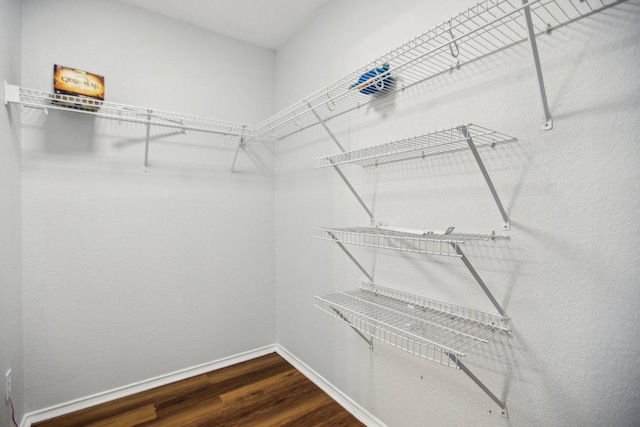 339 Liberty St, Hutto, TX 78634 - spacious closet featuring wood finished floors