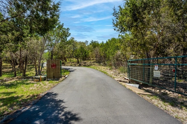 11134 Bonham Ranch Rd, Dripping Springs, TX 78620 - view of asphalt road