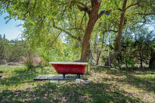 11134 Bonham Ranch Rd, Dripping Springs, TX 78620 - view of yard