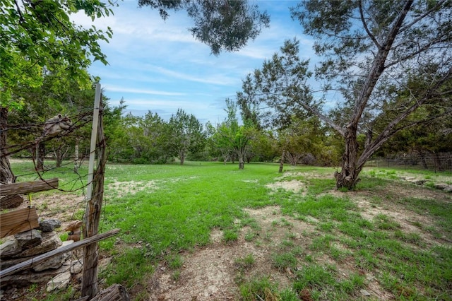 11134 Bonham Ranch Rd, Dripping Springs, TX 78620 - view of green lawn