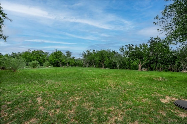 11134 Bonham Ranch Rd, Dripping Springs, TX 78620 - view of grassy yard