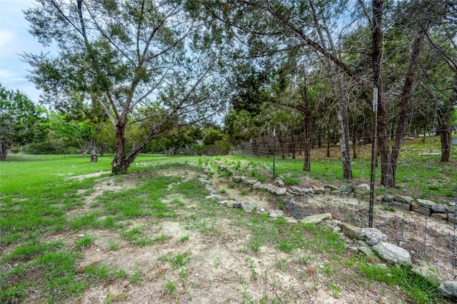 11134 Bonham Ranch Rd, Dripping Springs, TX 78620 - view of yard with a view of trees