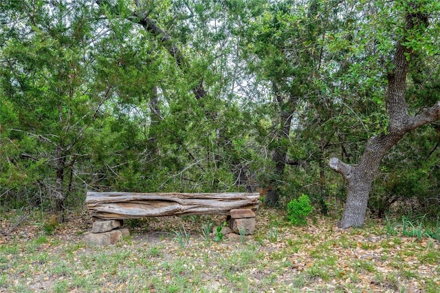 11134 Bonham Ranch Rd, Dripping Springs, TX 78620 - view of yard