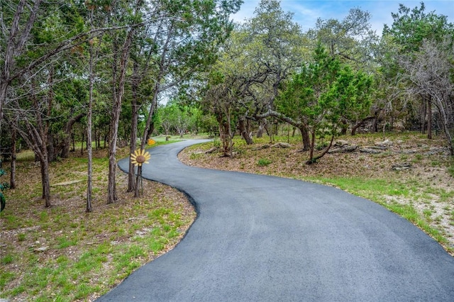 11134 Bonham Ranch Rd, Dripping Springs, TX 78620 - view of street