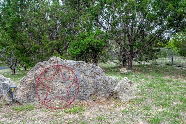 11134 Bonham Ranch Rd, Dripping Springs, TX 78620 - view of yard
