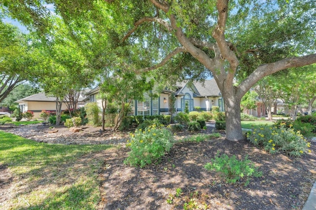 1505 Lake Forest Cv, Round Rock, TX 78665 - photo 3