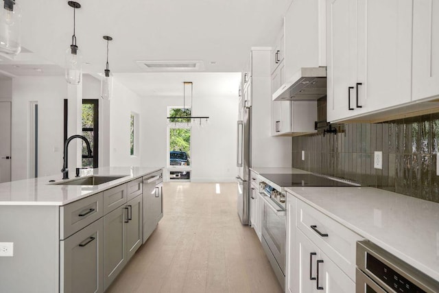 kitchen featuring tasteful backsplash, premium appliances, a sink, a kitchen island with sink, and under cabinet range hood