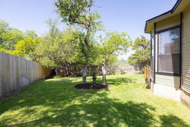 7303 Bluntleaf Cv, Austin, TX 78750 - view of fenced backyard