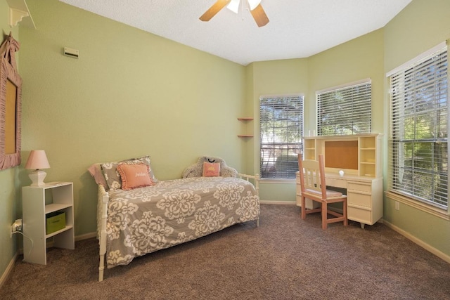 7303 Bluntleaf Cv, Austin, TX 78750 - bedroom with carpet, multiple windows, and ceiling fan